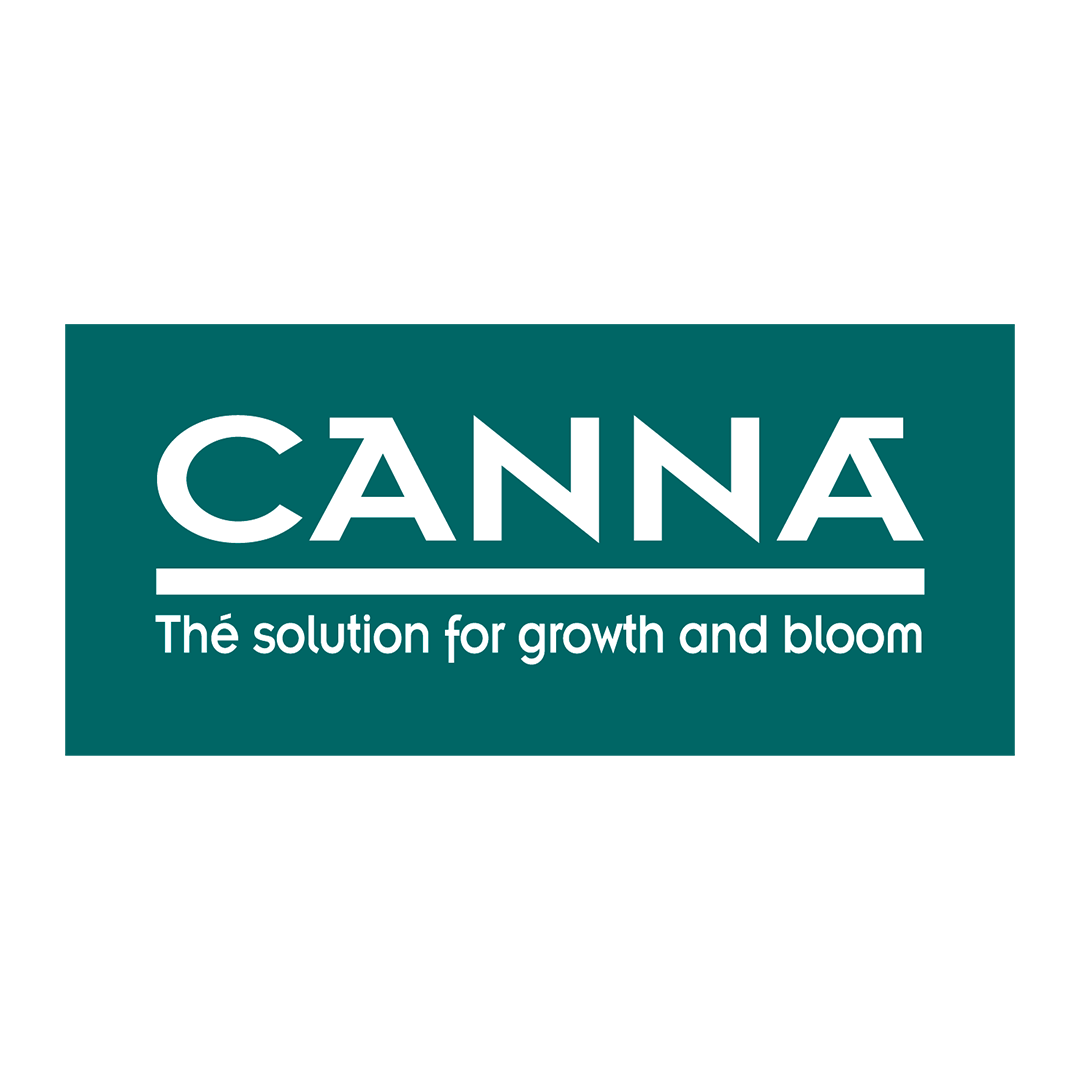 Canna